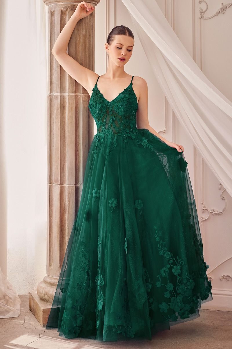 Tulle A-Line Floral Appliqued Gown-1